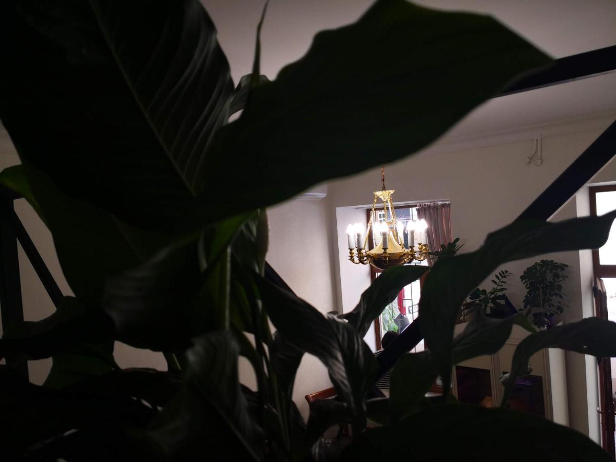 Затишні Апартаменти, Вулиця Дерибасівська, 13 오데사 외부 사진